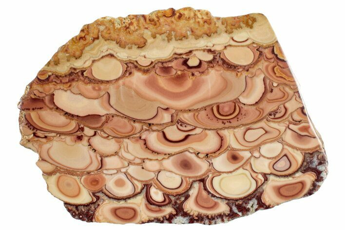 Polished Slab Of Rolling Hills Dolomite - Mexico #249966